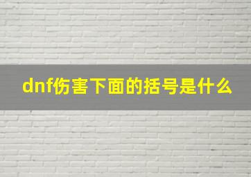 dnf伤害下面的括号是什么