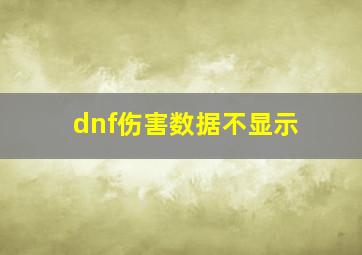 dnf伤害数据不显示