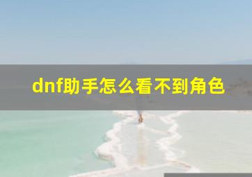 dnf助手怎么看不到角色