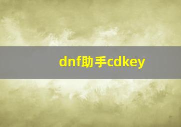 dnf助手cdkey