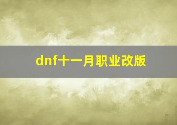 dnf十一月职业改版