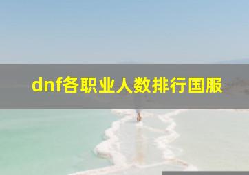 dnf各职业人数排行国服