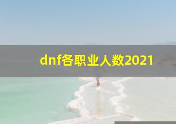 dnf各职业人数2021