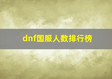 dnf国服人数排行榜