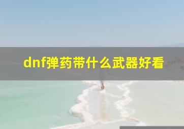 dnf弹药带什么武器好看