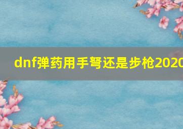 dnf弹药用手弩还是步枪2020