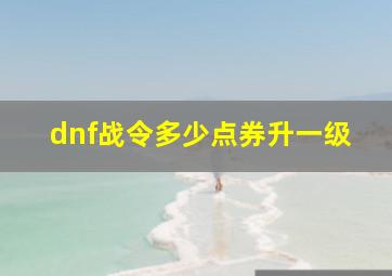 dnf战令多少点券升一级