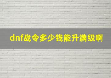 dnf战令多少钱能升满级啊