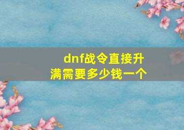 dnf战令直接升满需要多少钱一个