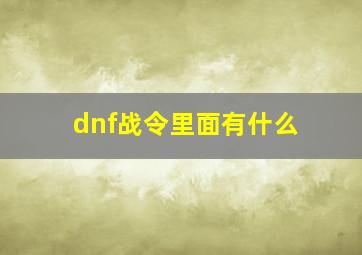 dnf战令里面有什么