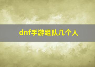 dnf手游组队几个人