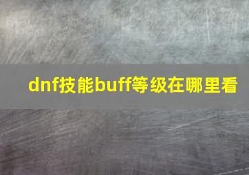 dnf技能buff等级在哪里看