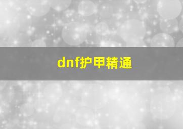 dnf护甲精通