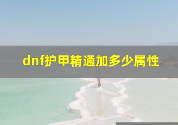 dnf护甲精通加多少属性