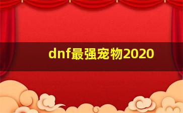 dnf最强宠物2020