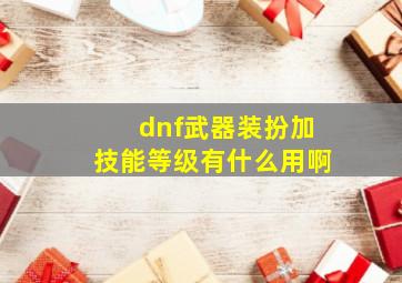 dnf武器装扮加技能等级有什么用啊