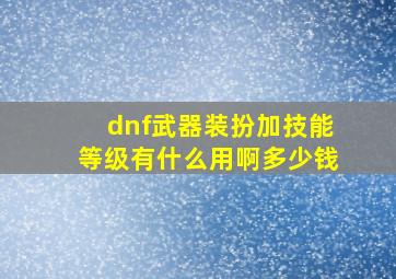 dnf武器装扮加技能等级有什么用啊多少钱