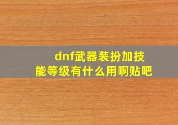 dnf武器装扮加技能等级有什么用啊贴吧