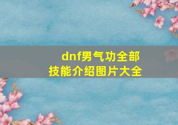 dnf男气功全部技能介绍图片大全