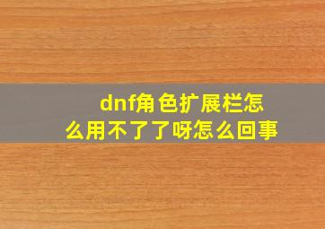 dnf角色扩展栏怎么用不了了呀怎么回事