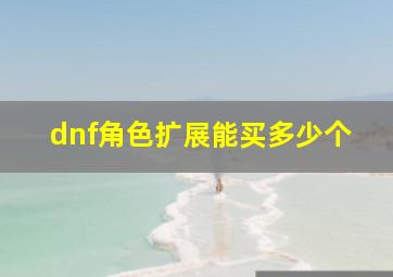 dnf角色扩展能买多少个