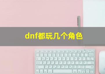 dnf都玩几个角色