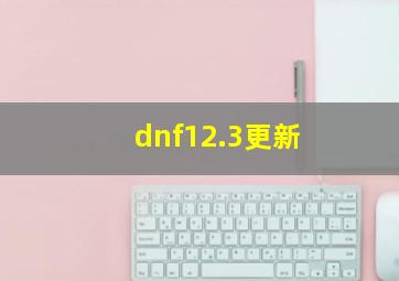 dnf12.3更新