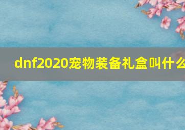 dnf2020宠物装备礼盒叫什么