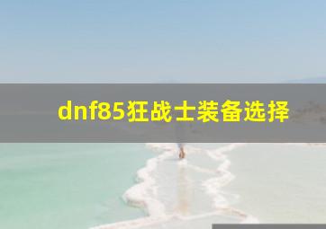 dnf85狂战士装备选择