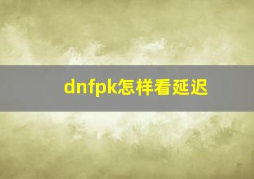 dnfpk怎样看延迟