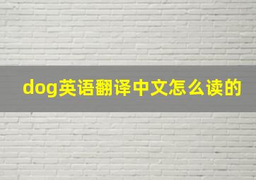 dog英语翻译中文怎么读的