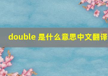 double 是什么意思中文翻译