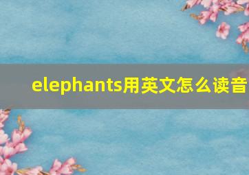 elephants用英文怎么读音