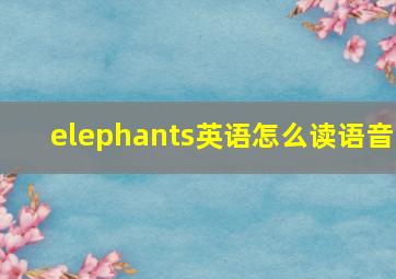 elephants英语怎么读语音