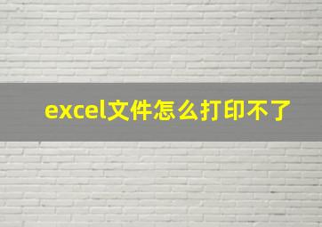 excel文件怎么打印不了