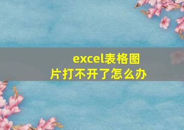 excel表格图片打不开了怎么办