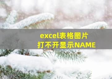 excel表格图片打不开显示NAME