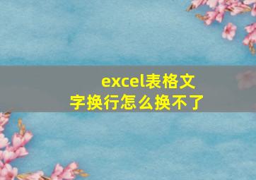 excel表格文字换行怎么换不了