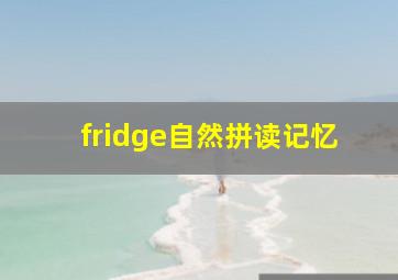 fridge自然拼读记忆