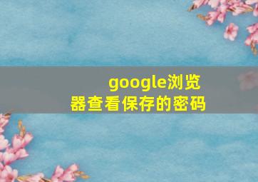 google浏览器查看保存的密码