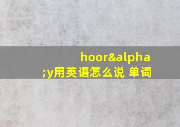 hoorαy用英语怎么说 单词