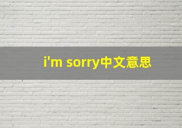 i'm sorry中文意思