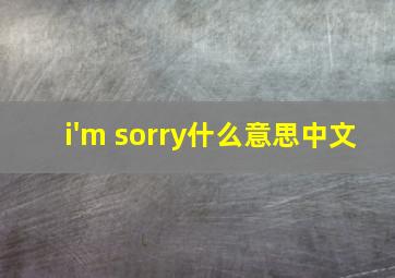 i'm sorry什么意思中文