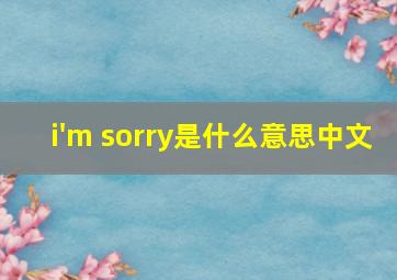 i'm sorry是什么意思中文