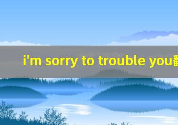 i'm sorry to trouble you翻译