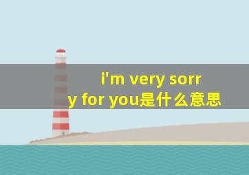 i'm very sorry for you是什么意思