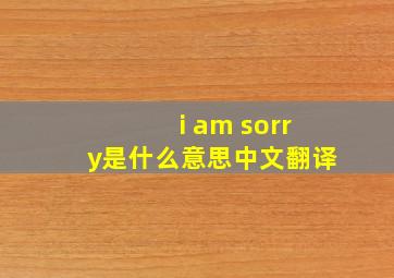 i am sorry是什么意思中文翻译