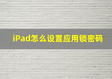 iPad怎么设置应用锁密码