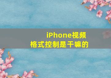 iPhone视频格式控制是干嘛的