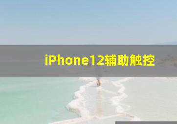 iPhone12辅助触控